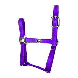 Cabresto Silicone - Roxo Boost Horse - 21085 - PROTEC HORSE - A LOJA DOS GRANDES CAMPEÕES