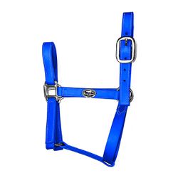 Cabresto Silicone - Azul Royal Boost Horse - 21086 - PROTEC HORSE - A LOJA DOS GRANDES CAMPEÕES