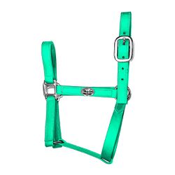 Cabresto Silicone - Verde Agua Boost Horse - 2108 - PROTEC HORSE - A LOJA DOS GRANDES CAMPEÕES