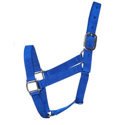 Cabresto de Nylon MReis - Azul Royal - 13052 - PROTEC HORSE - A LOJA DOS GRANDES CAMPEÕES