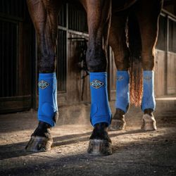 Kit Completo Boleteira Professionals Choice 2x Coo... - PROTEC HORSE - A LOJA DOS GRANDES CAMPEÕES