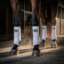Kit Boleteira Completo Professionals'Choice 2x Coo... - PROTEC HORSE - A LOJA DOS GRANDES CAMPEÕES