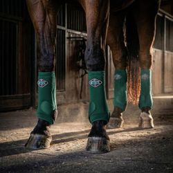 Kit Completo Boleteira Professionals Choice 2x Coo... - PROTEC HORSE - A LOJA DOS GRANDES CAMPEÕES