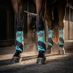 Kit Boleteira Completo Professionals'Choice 2x Coo... - PROTEC HORSE - A LOJA DOS GRANDES CAMPEÕES