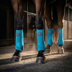 Kit Completo Boleteira Professionals Choice 2x Coo... - PROTEC HORSE - A LOJA DOS GRANDES CAMPEÕES