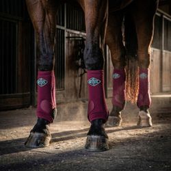 Kit Boleteira Completo Professionals'Choice 2x Coo... - PROTEC HORSE - A LOJA DOS GRANDES CAMPEÕES