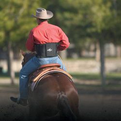 Protetor de Coluna - Professional's Choice - 13823 - PROTEC HORSE - A LOJA DOS GRANDES CAMPEÕES