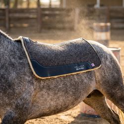 Manta Cowboy Felt Air Ride Cor Carvão Professional... - PROTEC HORSE - A LOJA DOS GRANDES CAMPEÕES