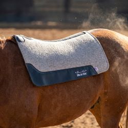Manta Professionals Choice Feltro - CFB - Branco /... - PROTEC HORSE - A LOJA DOS GRANDES CAMPEÕES