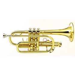 Cornet laqueado Hoyden - HCP-25L - RAINHA MUSICAL