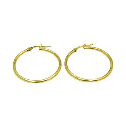 Brinco de Argola em Ouro 18k com 30.0mm 2.0g - J19200210 - RDJ Joias