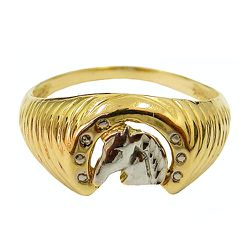 Anel Ferradura em Ouro 18K - J17300376 - RDJ Joias