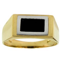 Anel Ônix em Ouro 18K Masculino - J03301024 - RDJ Joias