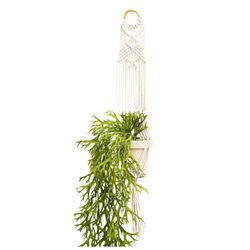 Suporte Para Vaso De Plantas Hanger Macramê (cru) ... - REDESDEDORMIR.COM