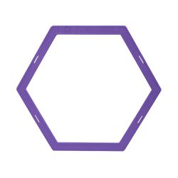 Argola Hexagonal de Agilidade Roxo - Consport - CONSPORT