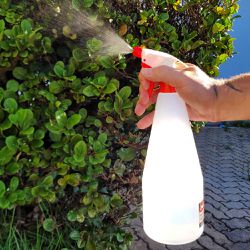 Pulverizador Manual 1 Litro ( 1l ) 316,0003 - Noll