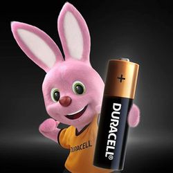 Pilha Alcalina Pequena AA C/2 (96387) Duracell 
