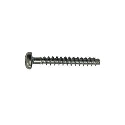 Parafuso 4cm (F000600217) - Bosch