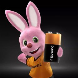 Bateria Alcalina 9V Com 1 Unidade (99695) - Duracell