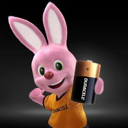 Pilha Alcalina D Grande Com 2 Unidades (4303) - Duracell