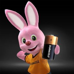 Pilha Alcalina C Média Com 2 Unidades (105922) - Duracell