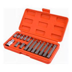 Jogo de Bits Tipo Torx Com 15 Peças (372,0002) - Noll