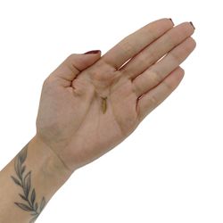 Kit Parafuso Chipboard 3,0x16mm 41,0002 (Com 250 Unidades) - Nord
