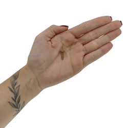 Kit Parafuso Chipboard 3,5x16mm 41,0005 (Com 250 Unidades) - Nord