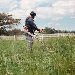Roçadeira a Combustão FS 351-L Com Lâmina 3 Pontas (4147-200-0512) - Stihl