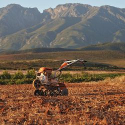Motocultivador a Combustão MH 710 (6251-011-3930) - Stihl