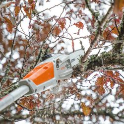 Motopoda a Bateria HTA 50 (LA02-011-6403) - Stihl