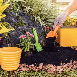 Conjunto Para Jardinagem Com 3 Peças em Plástico (78108/100) - Tramontina