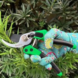 Tesoura de Poda Para Jardim By-Pass (TS-3144) - Trapp