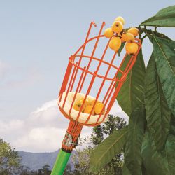 Colhedor de Frutas Sem Cabo - Grande (FT-20850G) - Trapp