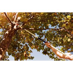 Serrote de Poda Profissional Com Empunhadura Metálica Sem Cabo 13'' (78382/701) - Tramontina