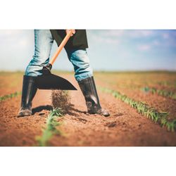 Enxada Canavieira Goivada Sem Cabo 2.0 (77215/204) - Tramontin