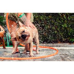 Mangueira Para Jardim Multi 1/2'' Com Engate Rápido 20m (79212/201) - Tramontina