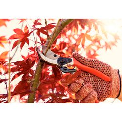 Conjunto de Tesoura e Tesourão de Poda Com Cabo Metálico (78362/805) - Tramontina