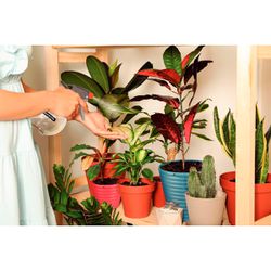 Pulverizador Plástico Manual 450ml (78604/046) - Tramontina