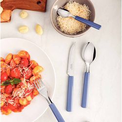 Faqueiro Gamboa em Inox Com 16 Peças Azul (23197/100) - Tramontina