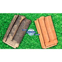 Poderoso Limpador 1 Litro (001) - Euroclean