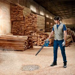 Soprador de Ar 18V Sem Fio Com Carregador e 2 Baterias (GBL 18V-120) - Bosch 