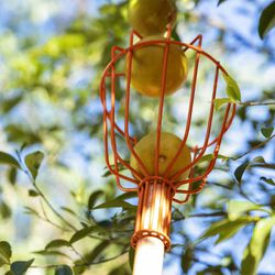 Colhedor de Frutas Pequeno Sem Cabo (77819/021) - Tramontina