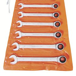 Jogo de Chaves Combinadas Com Catraca 10 Peças (44652/210) - Tramontina Pro