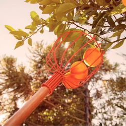 Colhedor de Frutas sem Cabo em Aço - Grande (77819/201) - Tramontina 