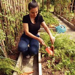 Pazinha Metálica Larga Com Cabo de Madeira (77907/001) - Tramontina
