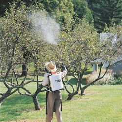 Pulverizador Manual Costal 18L - SG 20 (4247-019-4900) - Stihl