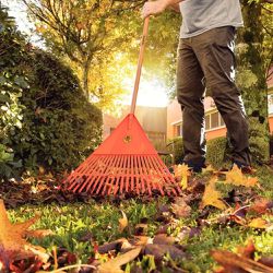 Vassoura Plástica Laranja 22 Dentes com Cabo de Madeira 120cm (77850/721) - Tramontina 