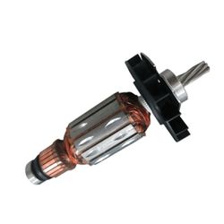 Induzido 220V (F000605184) - Bosch