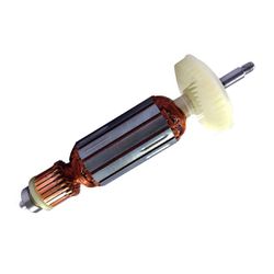 Induzido 220v (1607000V51) - Bosch